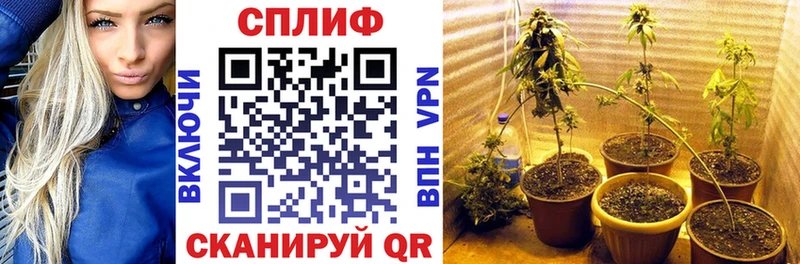 наркота  маркетплейс клад  Канабис LSD WEED  Батайск 